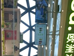 -Salud撒露欧洲冻酸奶(北苑上品店)