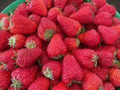 -西郊国际农产品交易中心