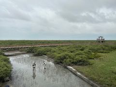 -北海金海湾红树林生态旅游区
