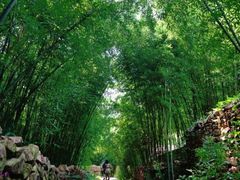 -竹泉村旅游度假区