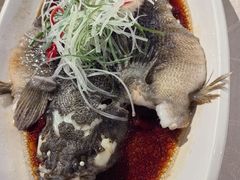 -高老庄绿色传奇(昊元生活广场店)