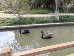 -交大留园(东川路店)