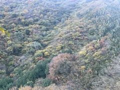 -香山公园