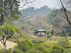 -龙井草堂