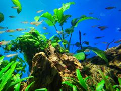 -太平洋海底世界