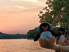 -西湖外事游船(湖滨二公园外事游船码头)