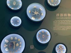 -中国湿地博物馆