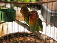 -老湘亲·品鉴湘菜(蔡塘爱琴海店)