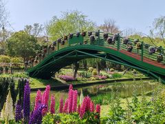 -上海鲜花港