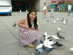 -陕西自然博物馆