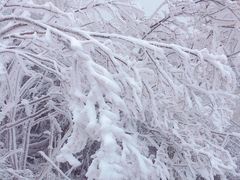 -宝鼎风景区