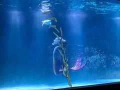 -常州海昌海洋探索馆