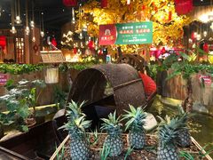 -老滇山寨•云南特色菜•地方菜•民族风情歌舞表演(金碧店)