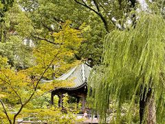 -申粤轩酒楼·三十年粤菜经典(丁香花园店)