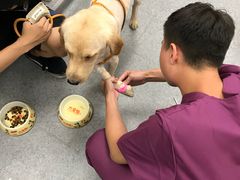 -爱诺耐芙动物医院(万博店)