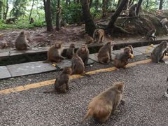 -黔灵山公园