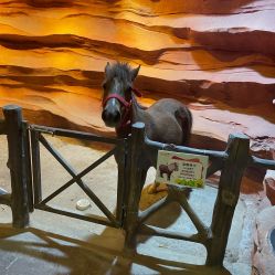 -酷嗒动物文化乐园(cutezoo西溪乐天城店)