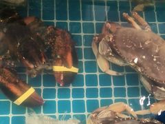 -佤家大院(南门店)