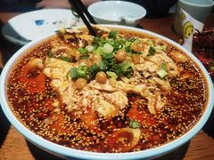 -文记四川鱼馆(小纬北路店)