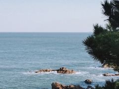-小麦岛公园