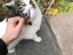 -麦隆咖啡(北大店)