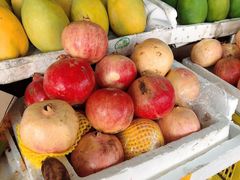 -南沙十九涌渔人码头-南门