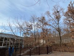 -大连北马山庄