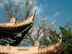 -普陀山风景名胜区-法雨禅寺