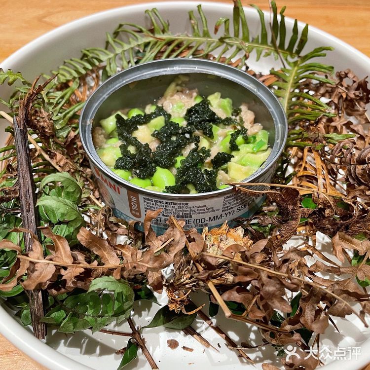 景德镇|素食|鹅鹅鹅|每个人的梦想都值得被鼓励