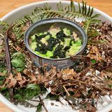 景德镇｜素食｜鹅鹅鹅｜每个人的梦想都值得被鼓励