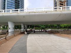 -演武大桥观景平台