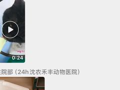 -派美特宠物医院·核磁CT·骨科肿瘤·疑难转诊(沈农禾丰店)