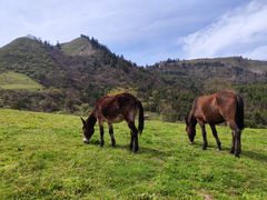 -硗碛藏寨·神木垒景区