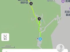 -天目山大树王景区