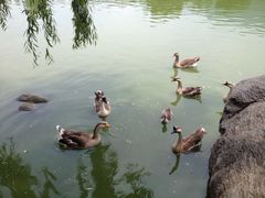 iphone_upload_pic-西安秦岭野生动物园