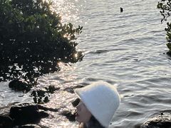 -宝安西湾红树林湿地公园