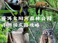 -普洱太阳河森林公园