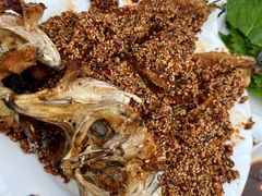 -松明一烤肉馆(鲁园店)
