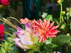-春暖花开(西溪店)