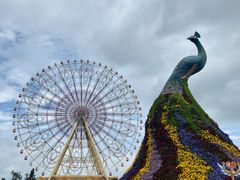 -七彩云南欢乐世界