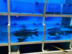 -聚丰园•湖鲜餐厅(阿红私房菜梅石路店)