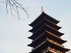 -宜兴龙背山森林公园