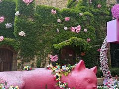 -青岛方特梦幻王国