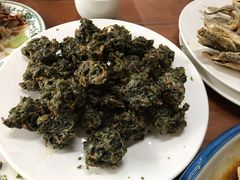 微山湖炸荷叶-微山岛春天里酒家