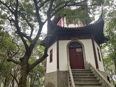 -上海佘山国家森林公园天马山园