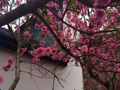 iphone_upload_pic-乌山风景区