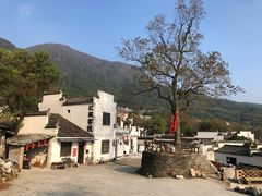 -塔川景区