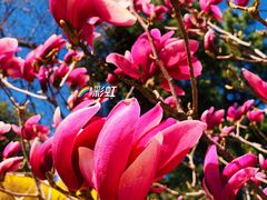 -北京西山国家森林公园