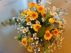 -大美臻喜母婴(重庆创始店)