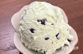 Homemade Gelato (Mint Chocolate)